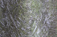 Settle fibreglass roof work