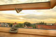 rated Settle roof window companies